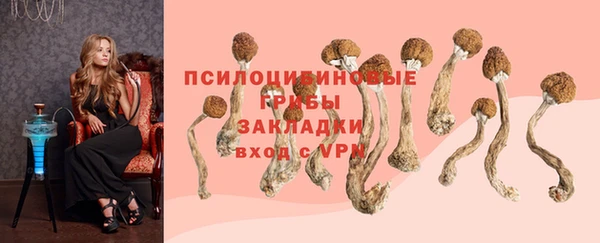 прущая мука Абаза