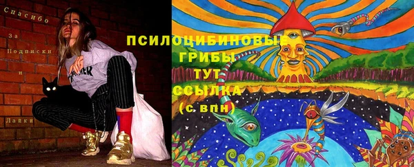 гидра Абинск