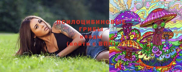 прущая мука Абаза